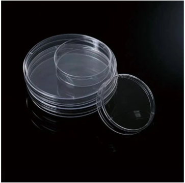 product-363-360 product-363-360